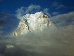 
The West Face of Gasherbrum IV shines at sunset from Goro II. The first ascent of Gasherbrum IV was made via the northeast ridge on August 6, 1958 by famed Italian mountaineer Walter Bonatti and Carlo Mauri on a strong Italian team led by legendary climber Riccardo Cassin. �A desperate struggle between the mountain and ourselves, but we were all winners, and at 12.30 exactly the little pennants of Italy, Pakistan and the C.A.I. fluttered on the Summit itself. Fluttered � no, blew out in the howling gale.� - Karakoram: The Ascent Of Gasherbrum IV by Fosco Maraini.
